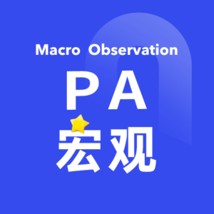 PAマクロ