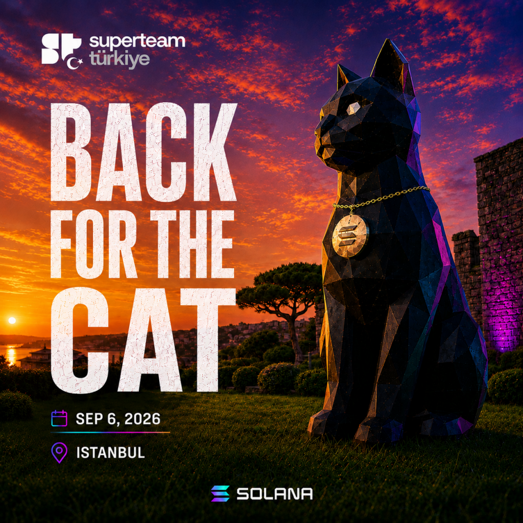 Back for the Cat 🔥